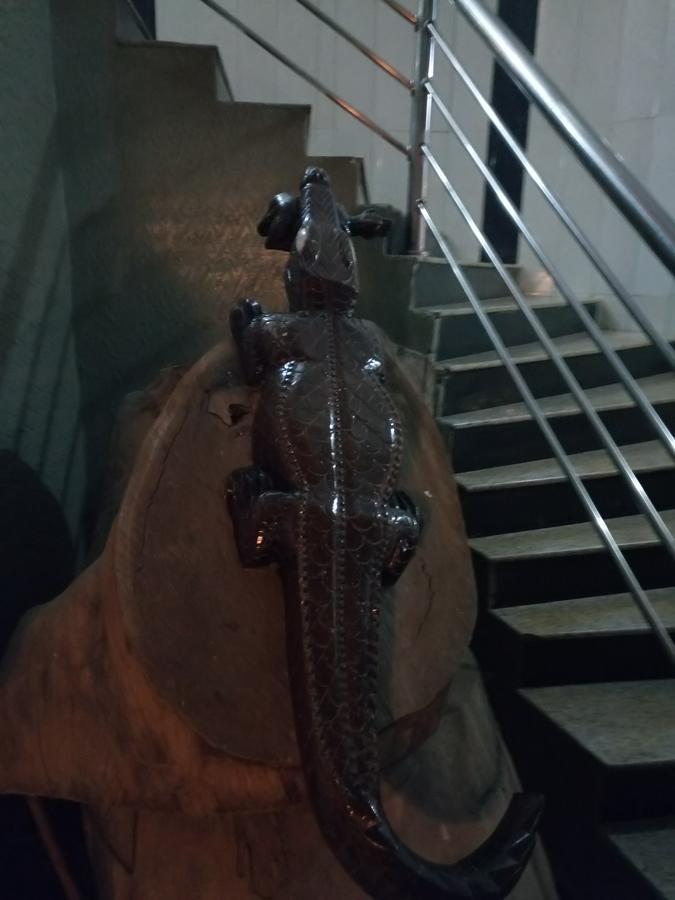 Crocodile Hotels And Restaurant Limited كادونا المظهر الخارجي الصورة
